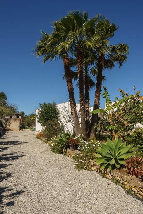 Villa Can Beia Rural House Ibiza à Nuestra Señora de Jesus Extérieur photo